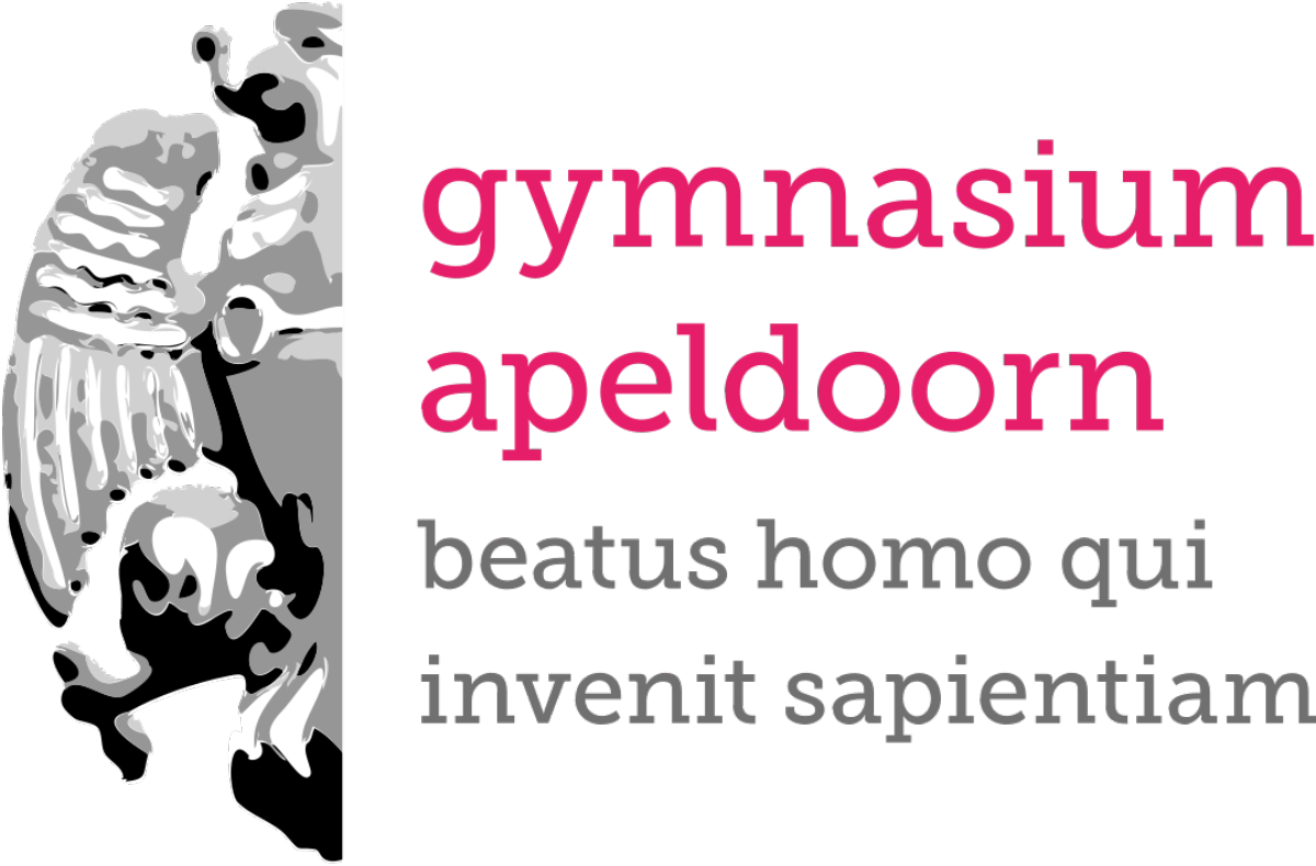 Gymnasium